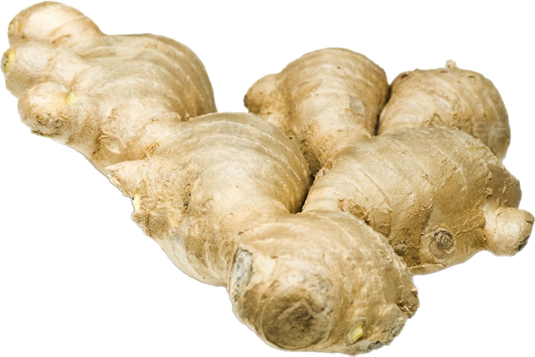 a bunch of ginger root on a white background