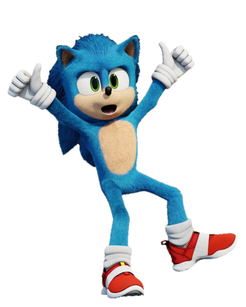sonic the hedge