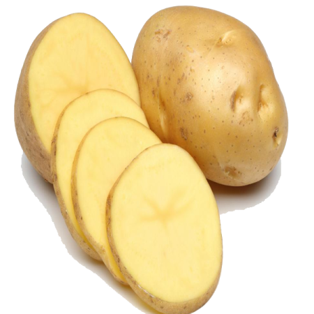 a potato cut in half on a white background
