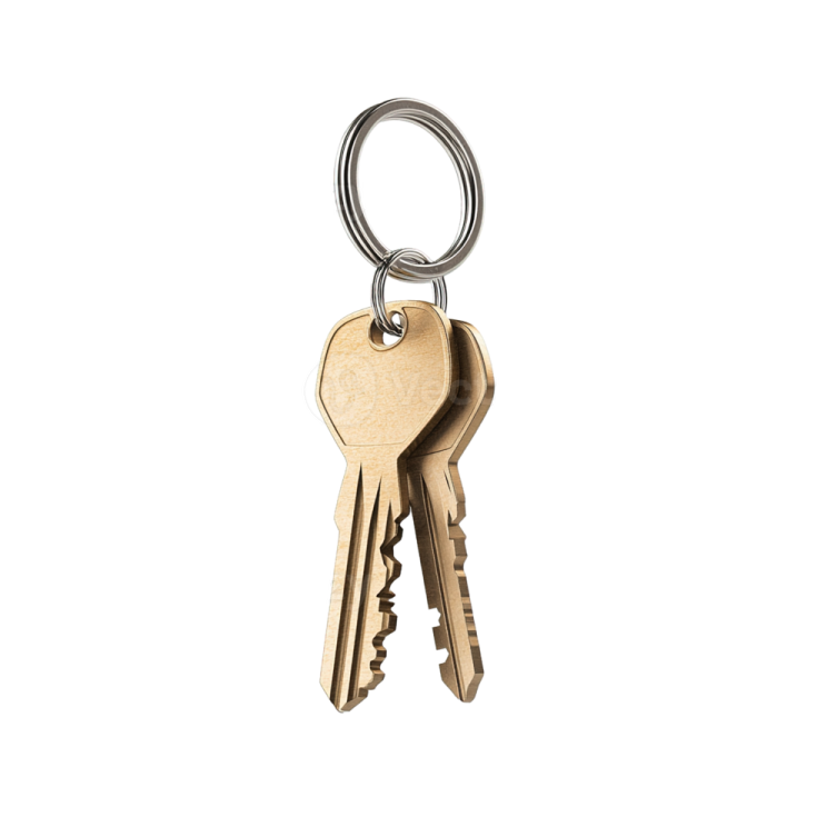 a bunch of keys on a white background