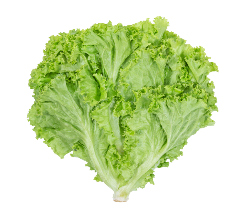 a heart shaped leaf of lete