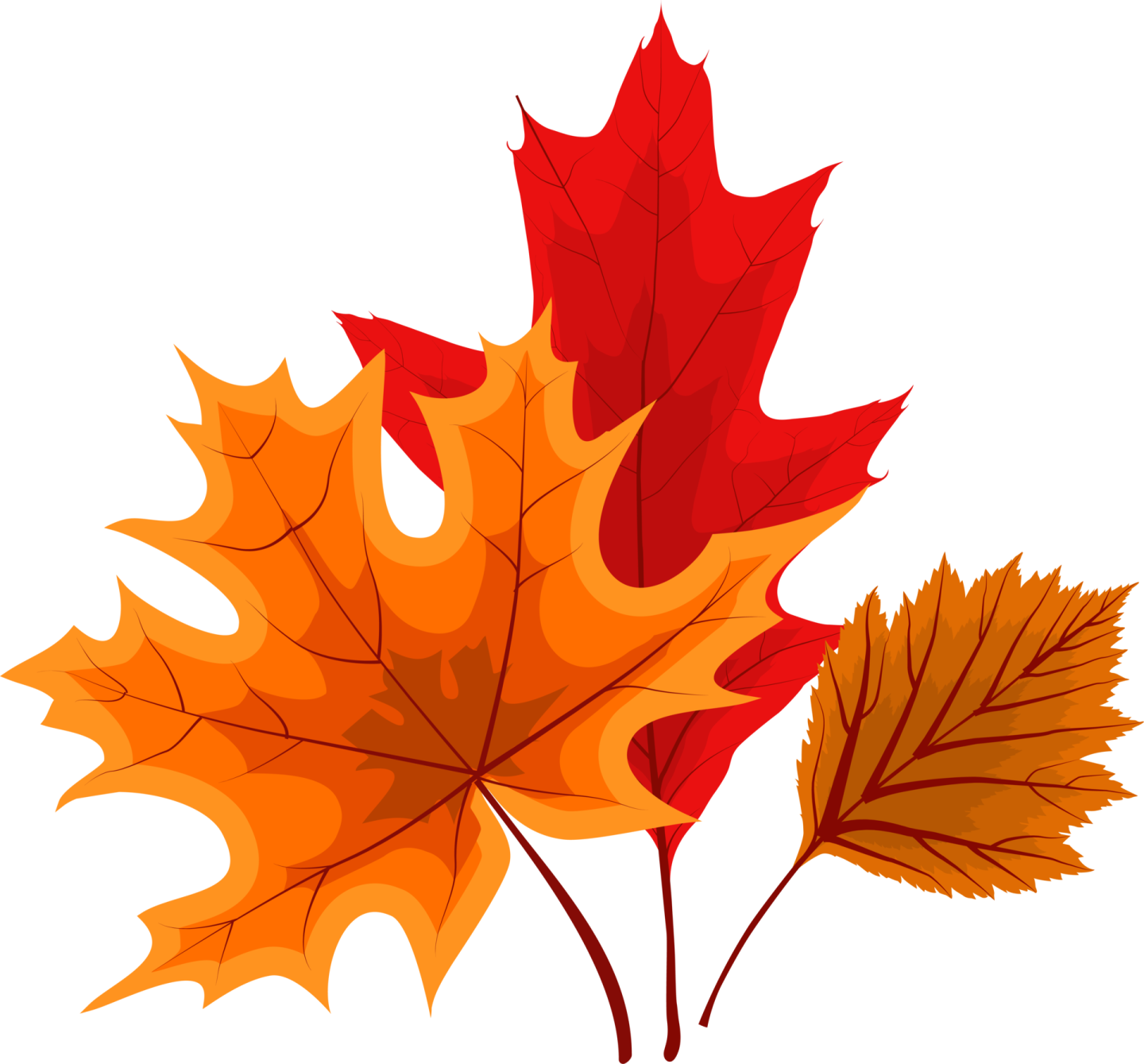 a pair of autumn leaves