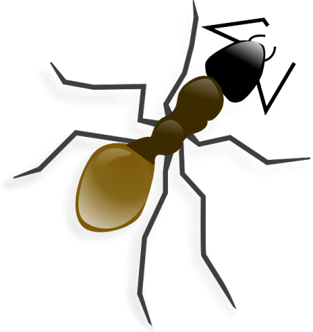 ants clipart free vector art images