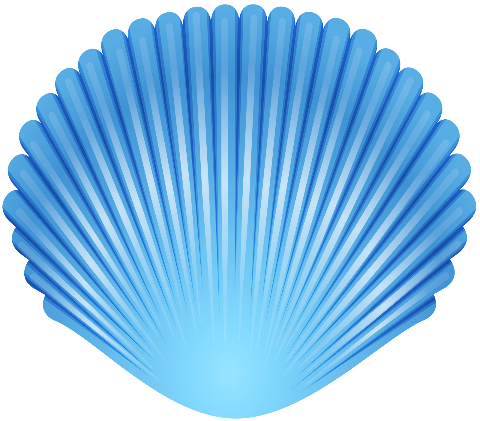 a blue shell on a white background