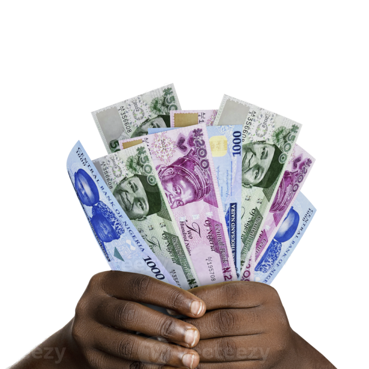 a person holding money in their hands