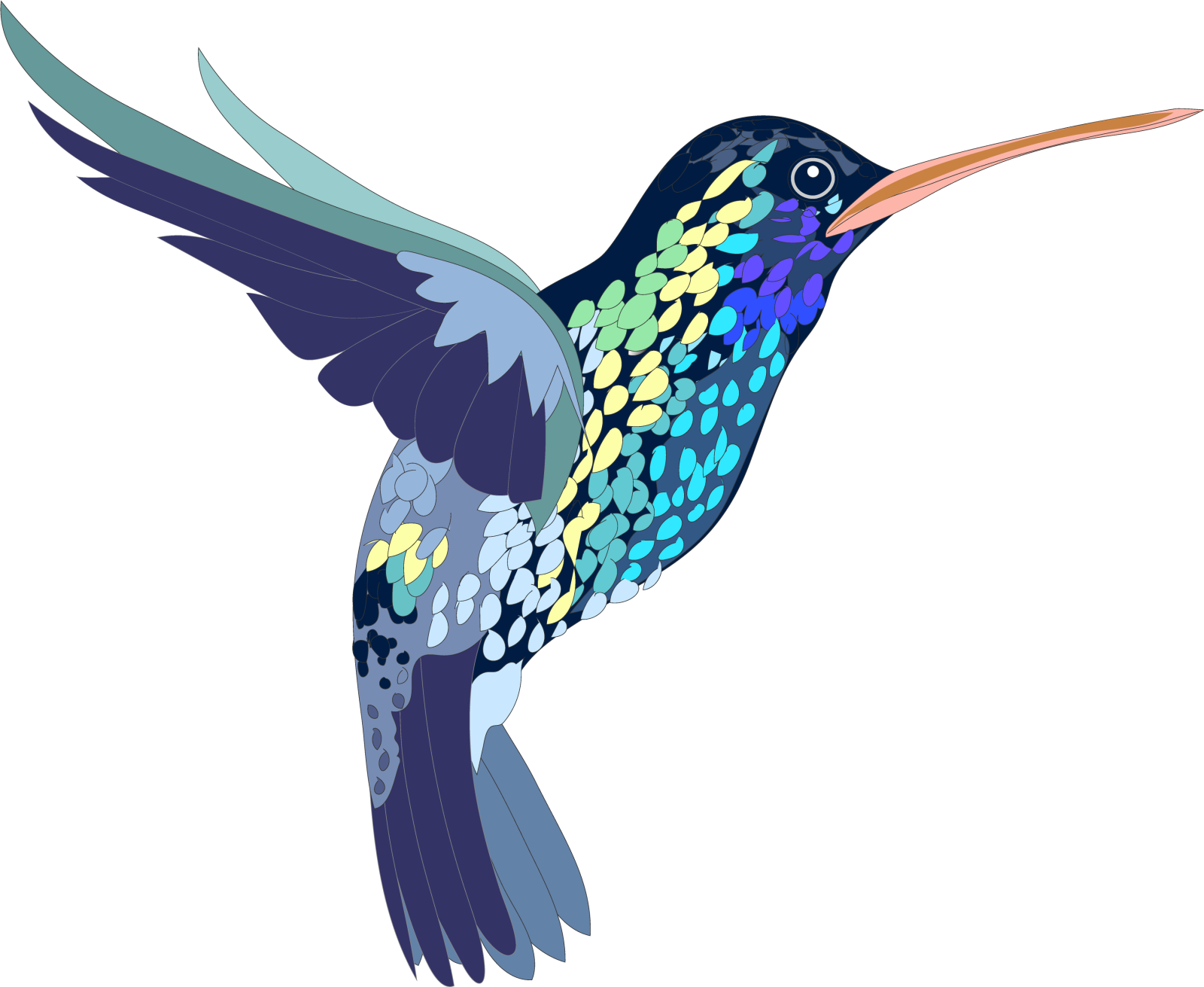 a colorful humming bird flying in the air
