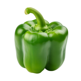 a green pepper on a white background