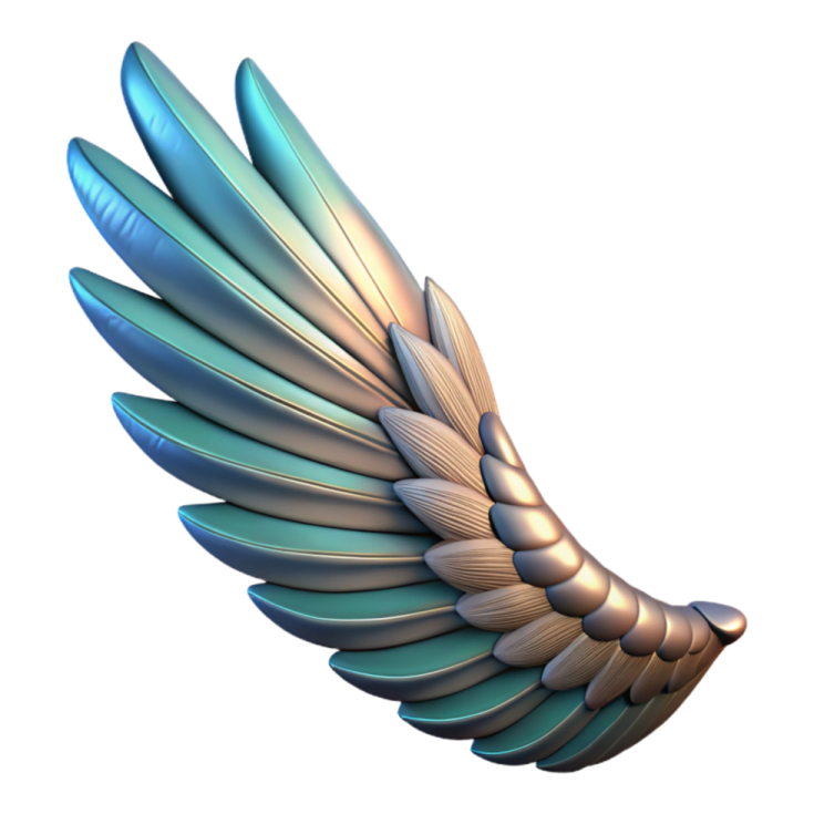 an image of a bird's wing