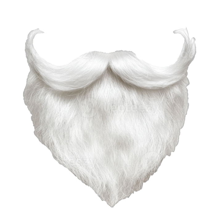 a white beard with long white hair