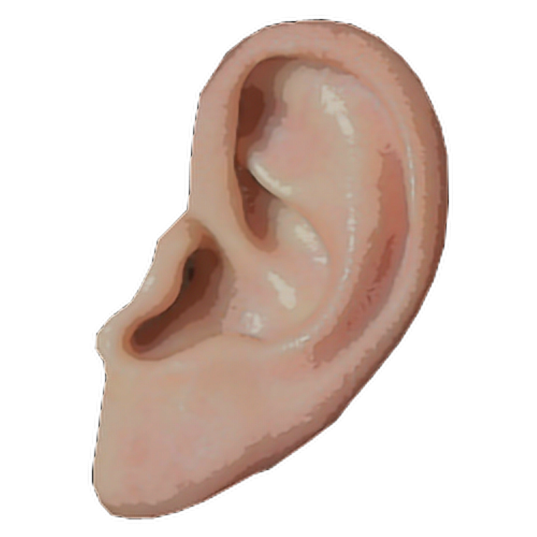 an ear with a small hole in the middle
