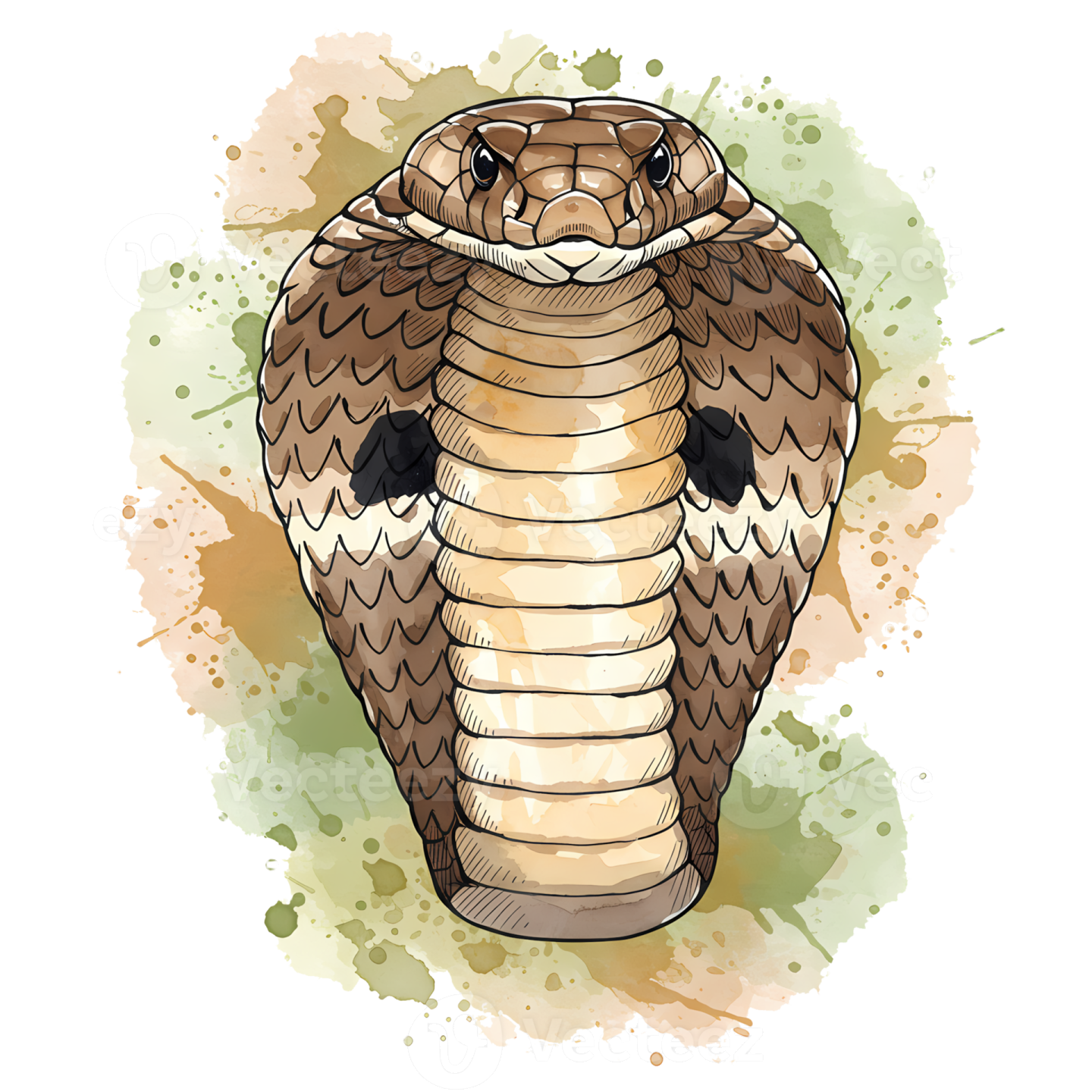 an illustration of a cobra with watercolor spots