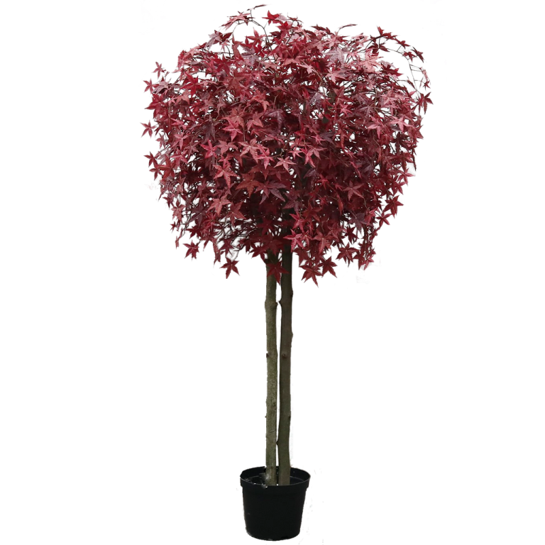 a red tree in a black pot