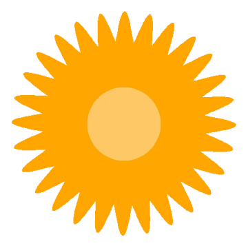 a yellow sunflower