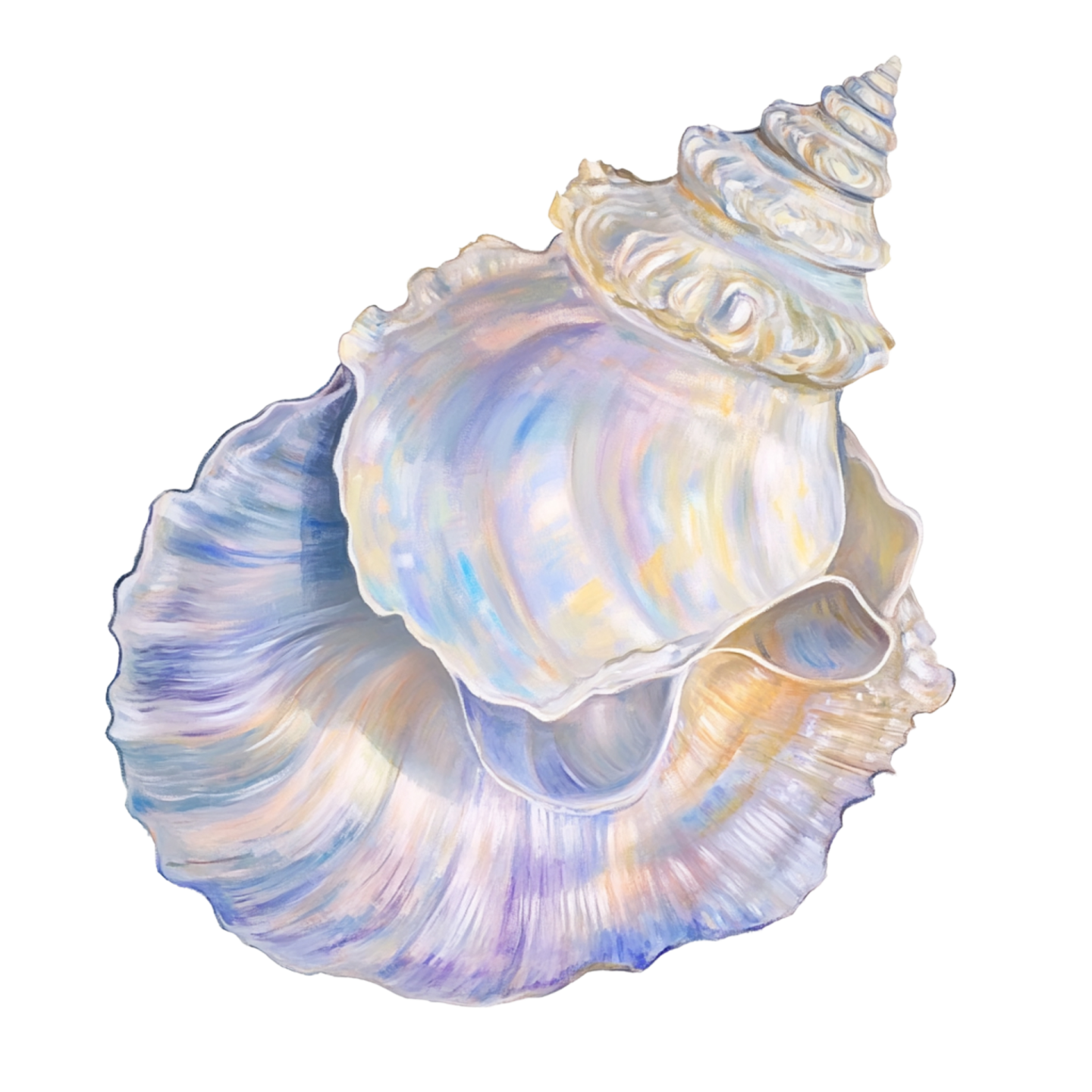 a watercolor painting of a seas shell