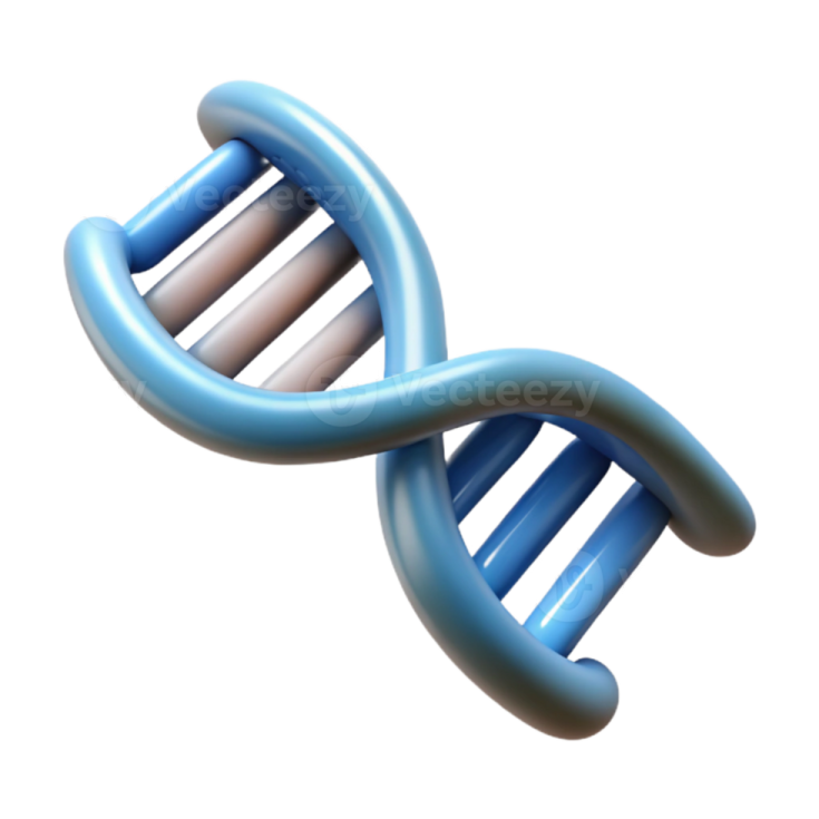 a 3d model of the double helix chromosome