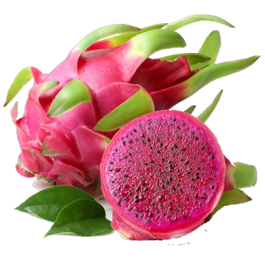 dragon fruit on white background