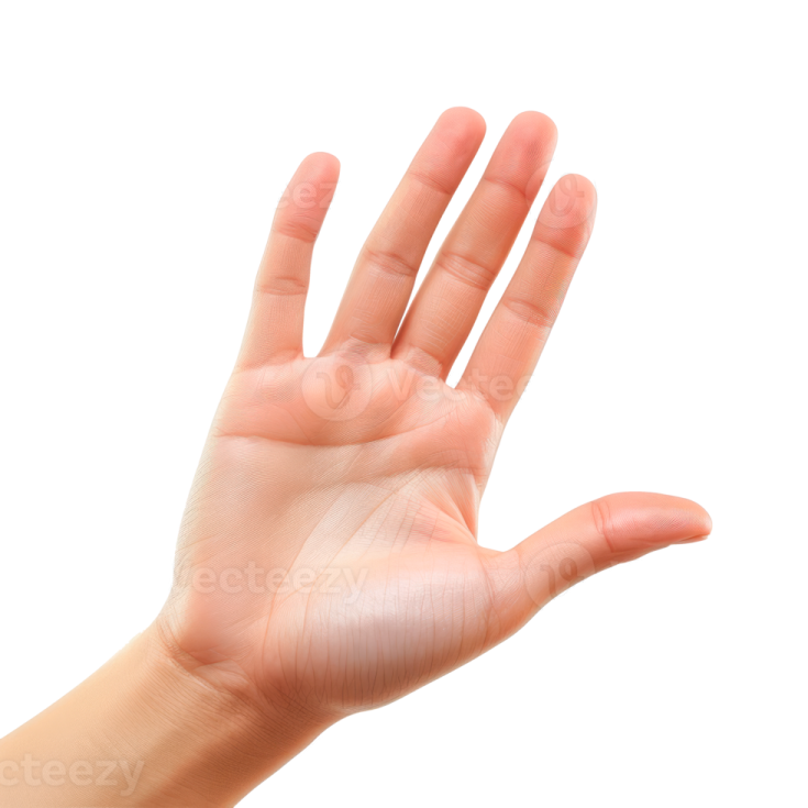 a woman's hand showing the number one on her palm
