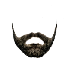 a close up of a beard on a white background