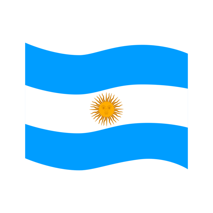 the flag of argentina