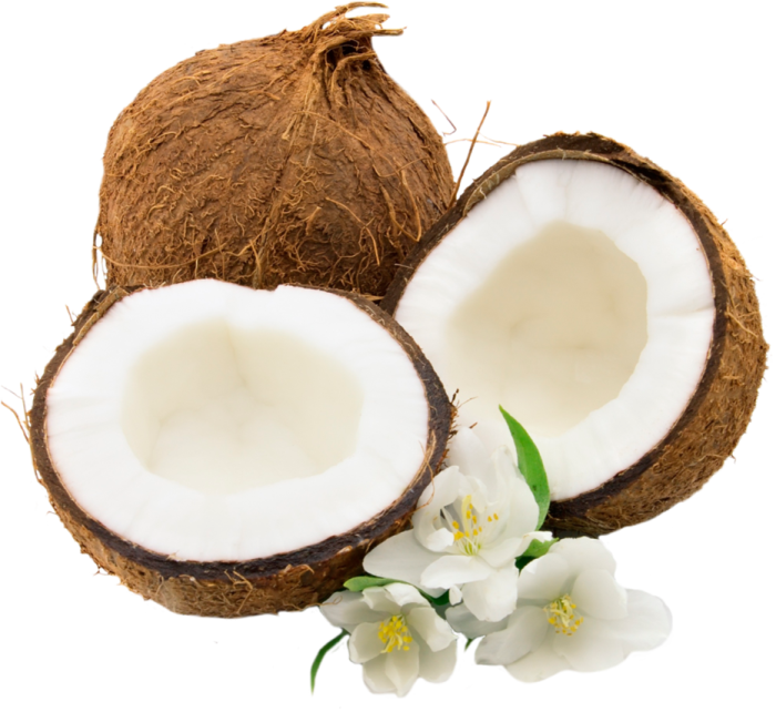 two coconuts and a flower on white background