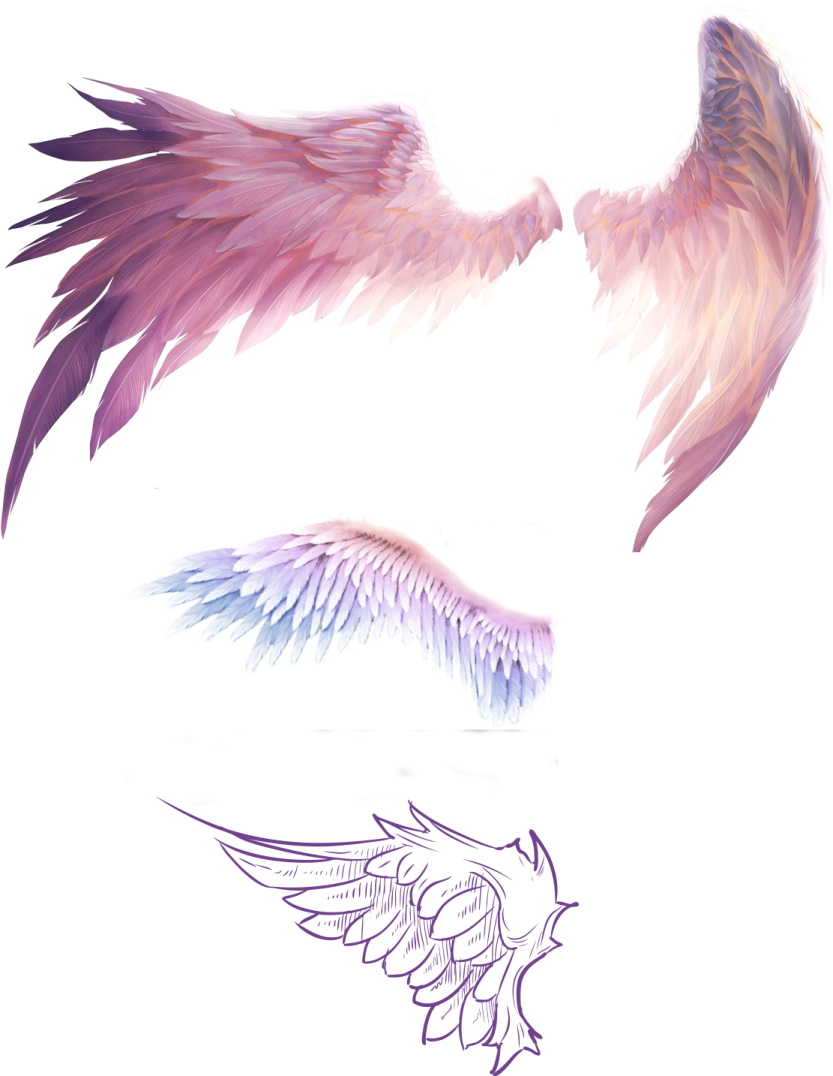 a drawing of a pair of wings