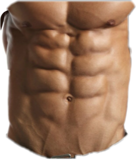 a man's torso with no shirt