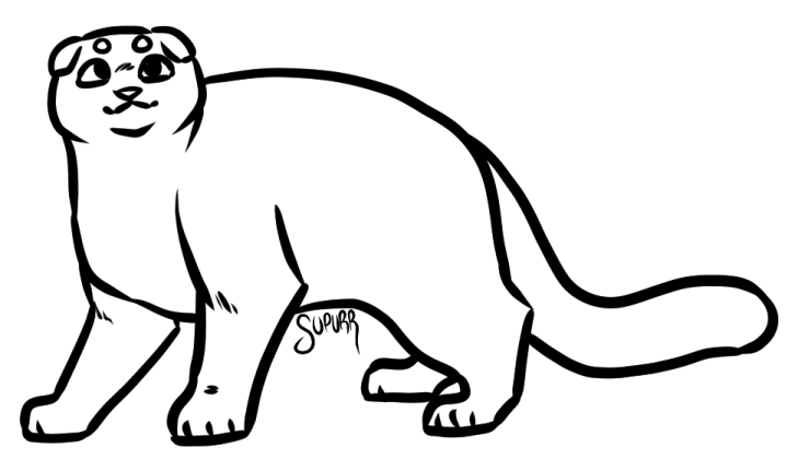 a black and white drawing of a cat