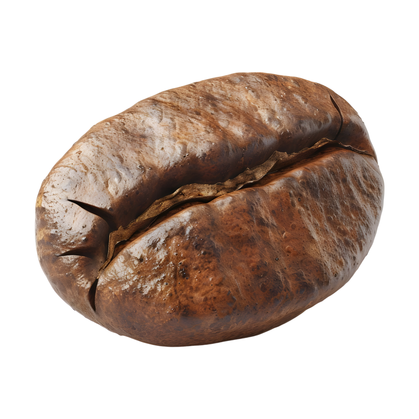 a coffee bean on a white background