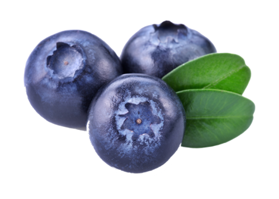 blueberries with leaves on white background