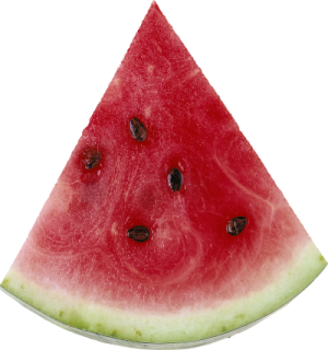 a slice of watermelon