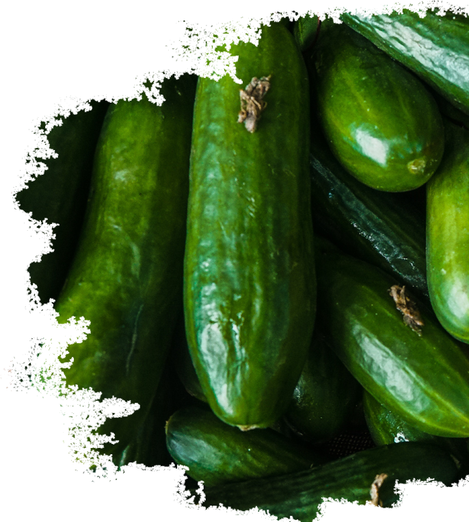 a pile of pickles on a white background