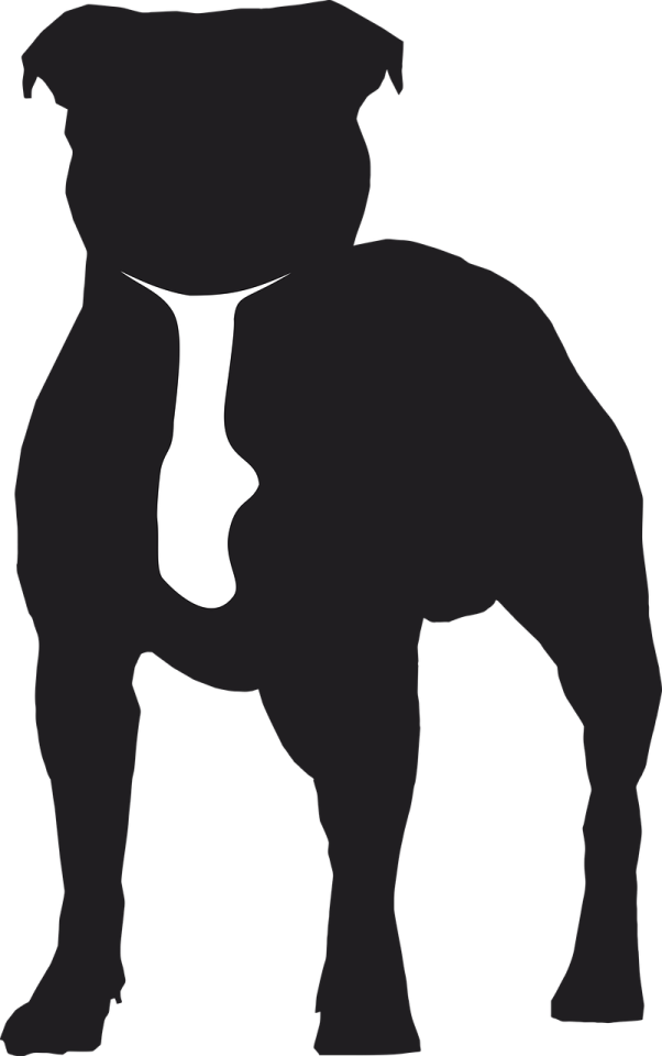 a black and white silhouette of a dog