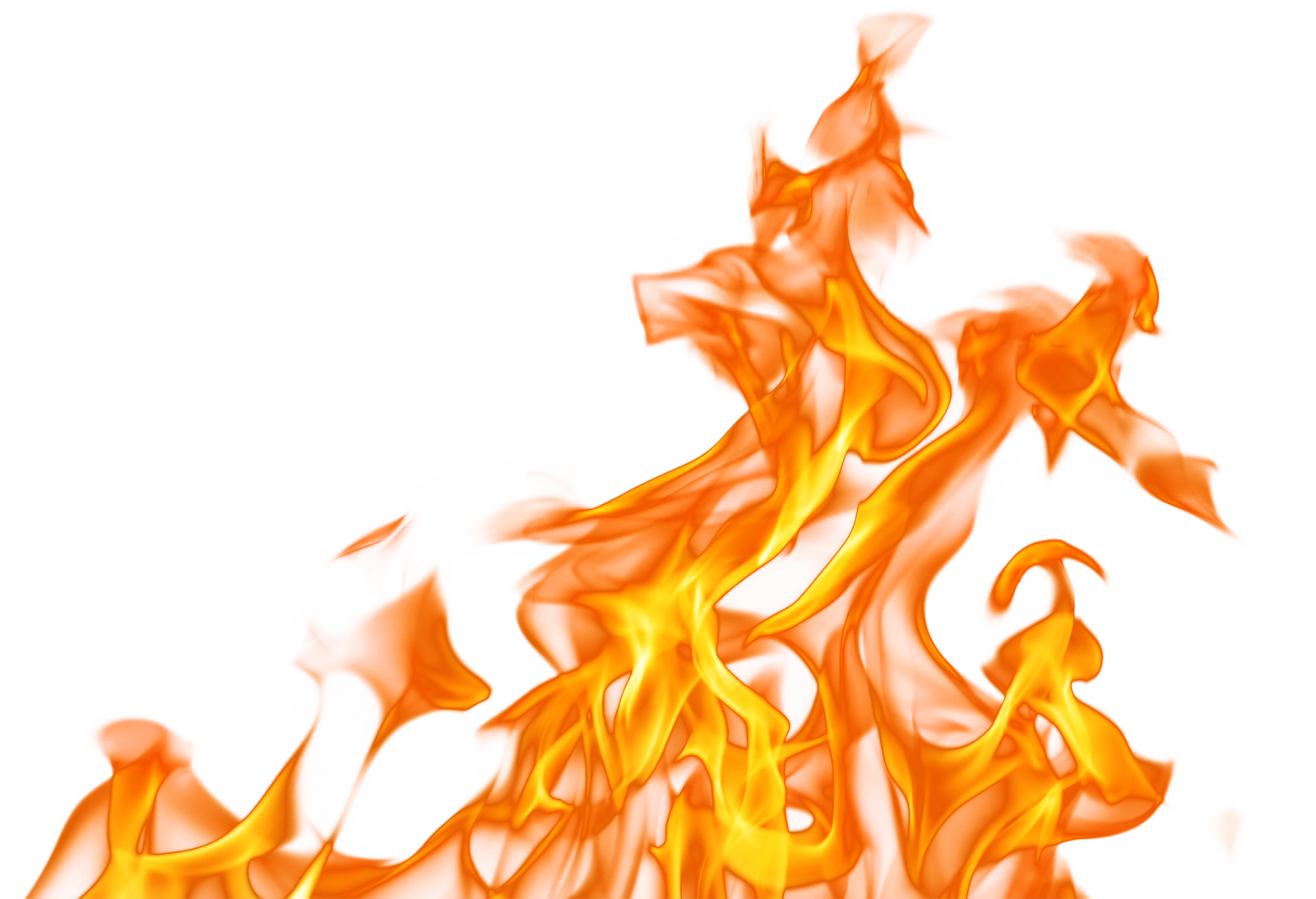 fire flames on a white background