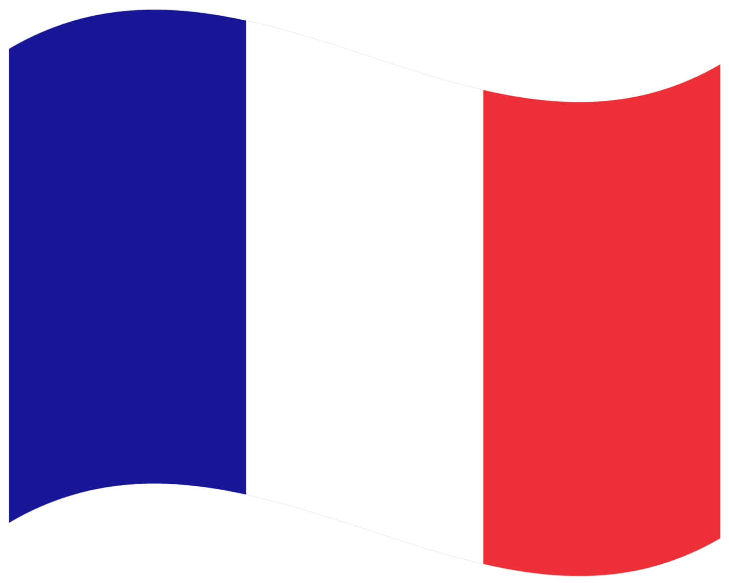 the french flag