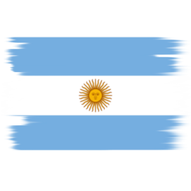 the flag of argentina