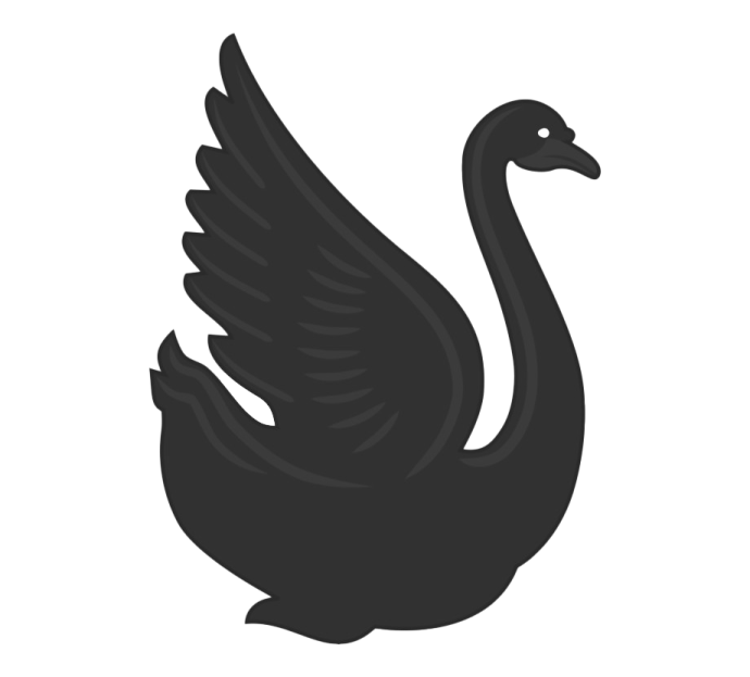 a black swan on a white background