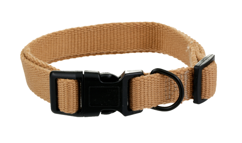 a dog collar on a white background