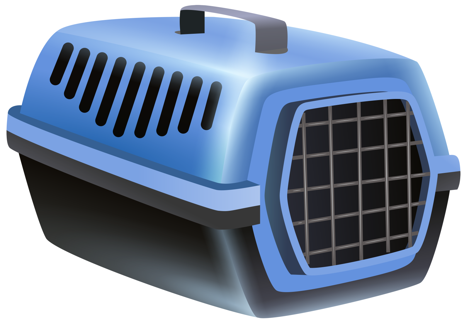 a blue and black dog carrier