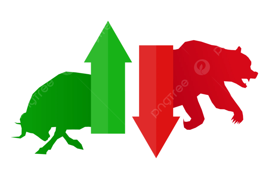 a bear and bear with the flag of italy