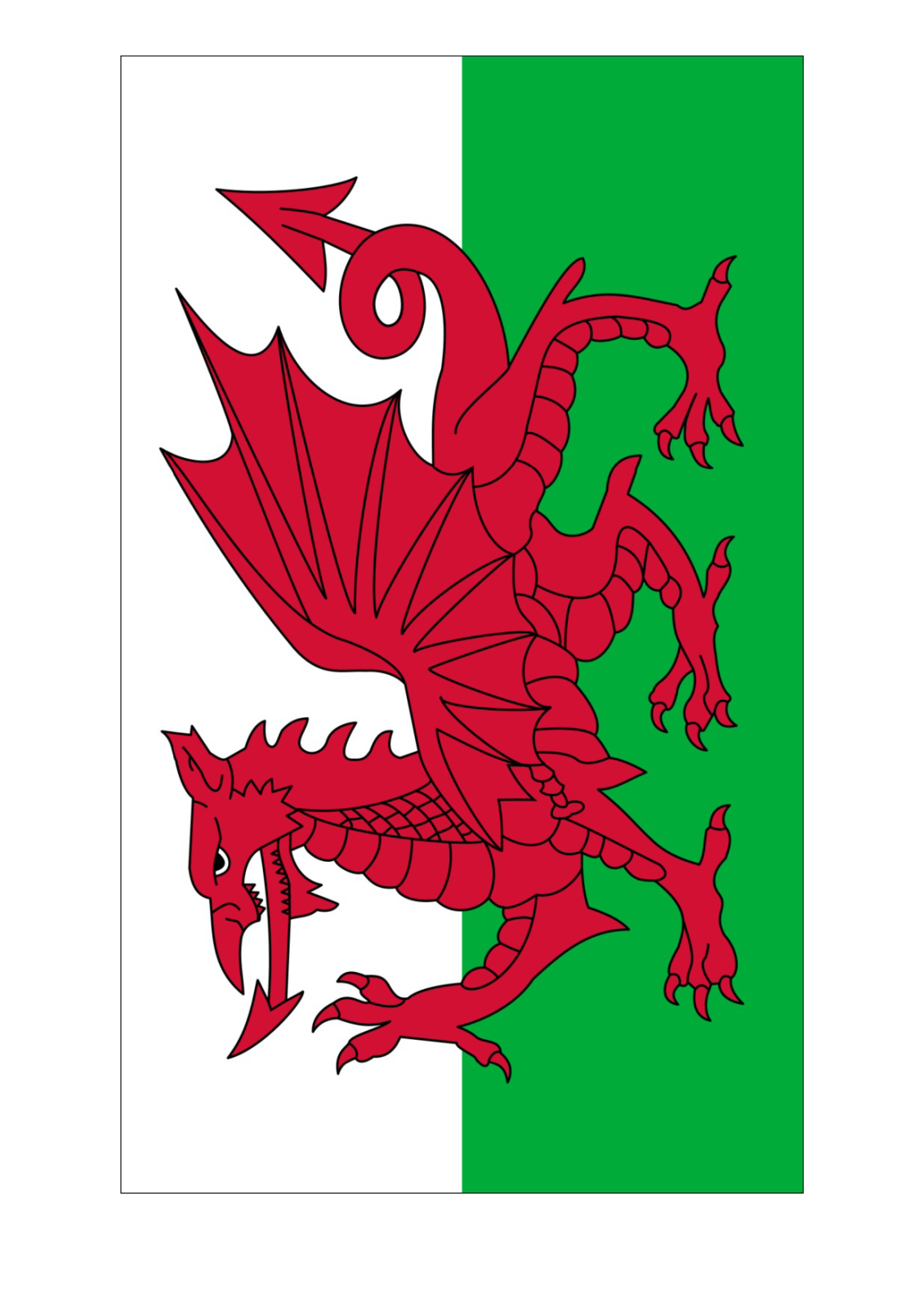 the flag of wales