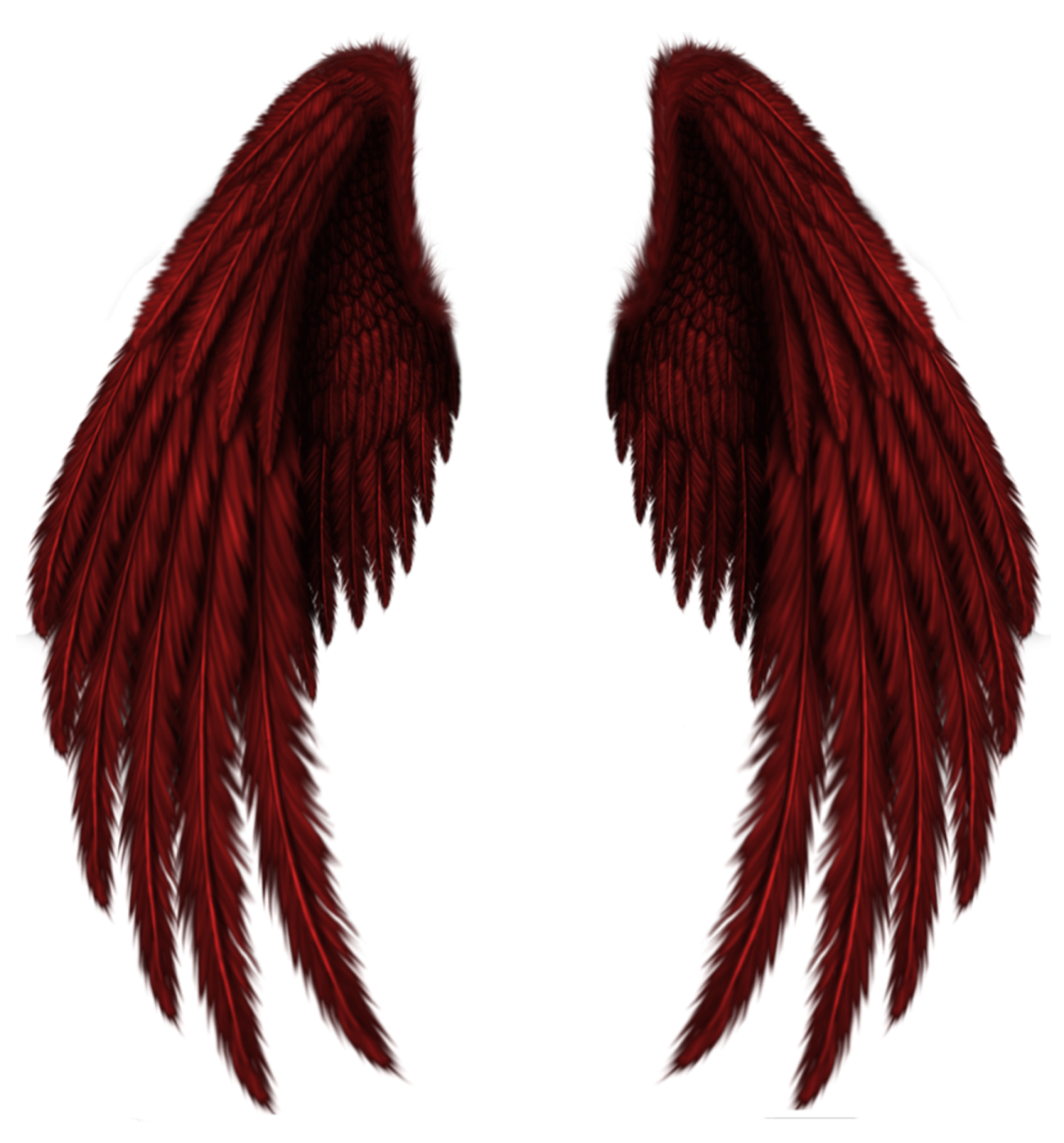 two red wings on a white background