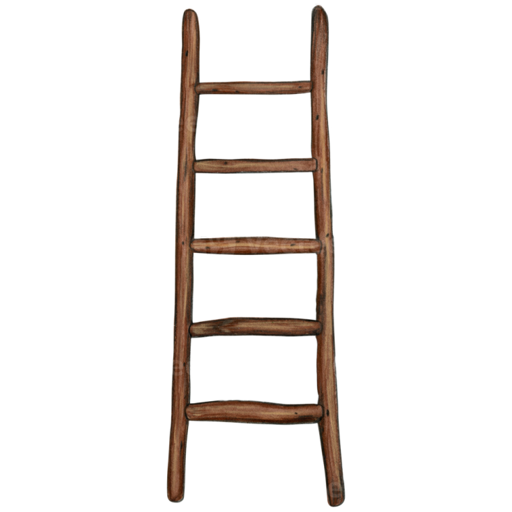 a wooden ladder on a white background