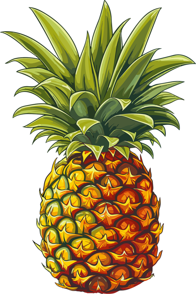 a pineapple on a white background