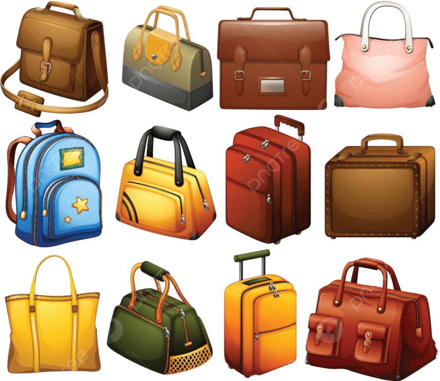 a set of different types of bags