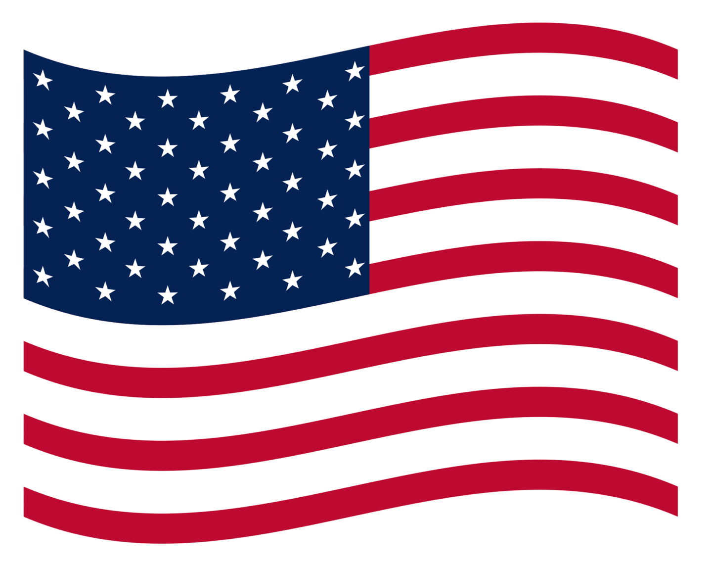 the american flag