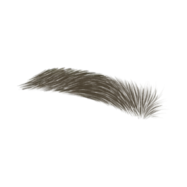 a close up view of a black and white cat tail
