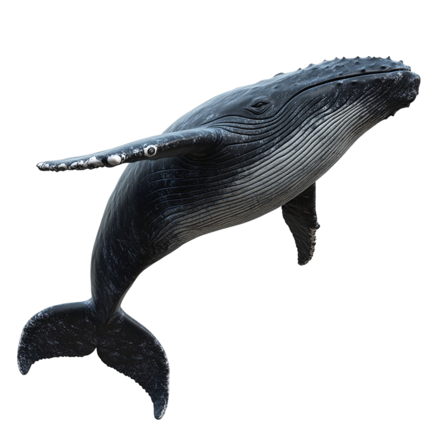 a whale with its mouth open in the air