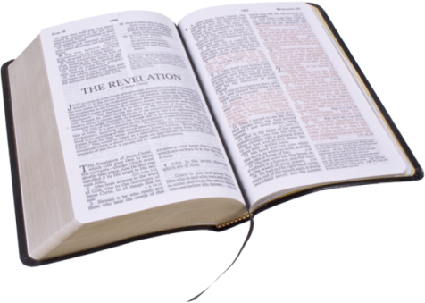 an open bible on a white background