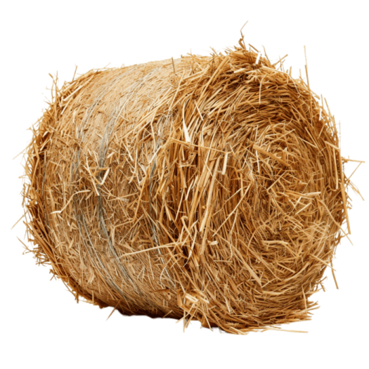 a roll of hay on white background