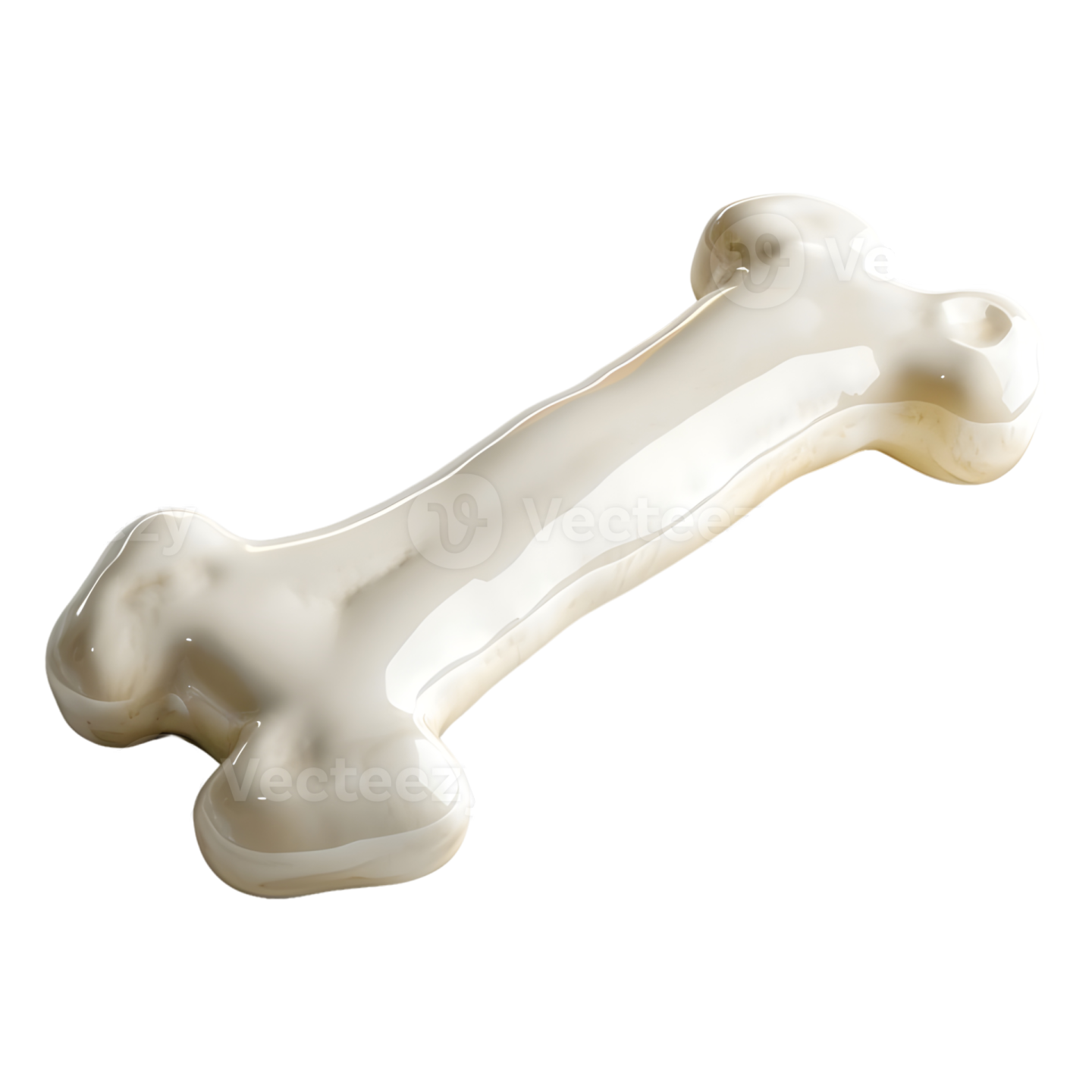 the bones of a dog bone
